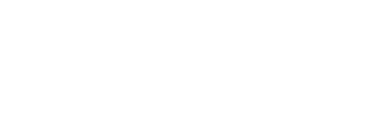 Partnerlogo: Sandals