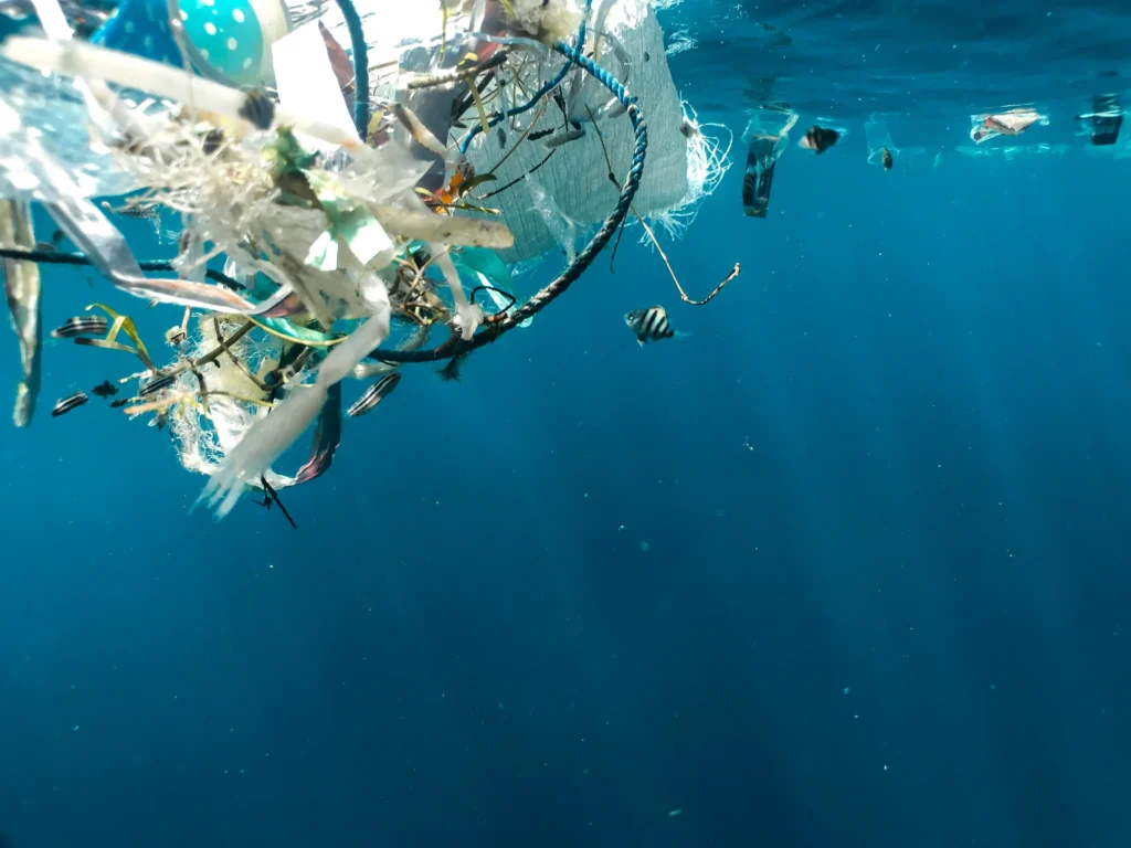 Oceaanvervuiling door plastic
